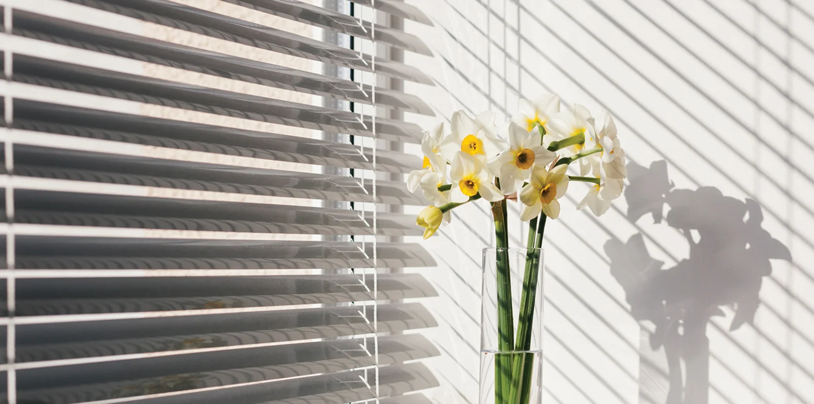 MODERO Aluminum Blinds at the window.